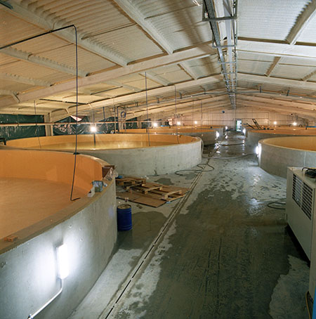 Agriculture & Aquaculture NCC